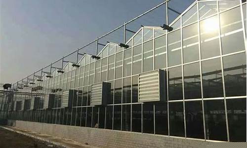 玻璃温室大棚多少钱多少钱(玻璃温室大棚建造标准)_https://www.nalian8.com_北交所_第1张