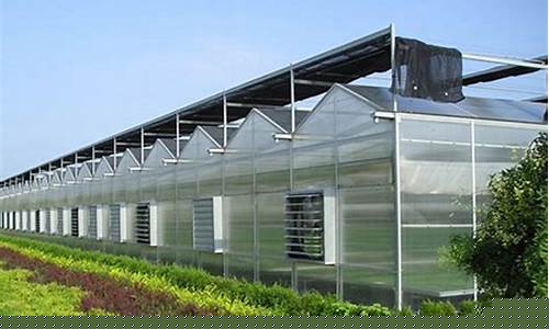 温室大棚阳光板价格多少(阳光板温室大棚多少钱一平方米)_https://www.nalian8.com_科创板_第1张