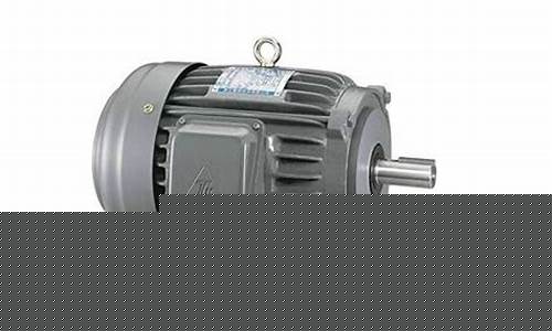 中国十大电机(中国十大电机厂家排名)_https://www.nalian8.com_北交所_第1张