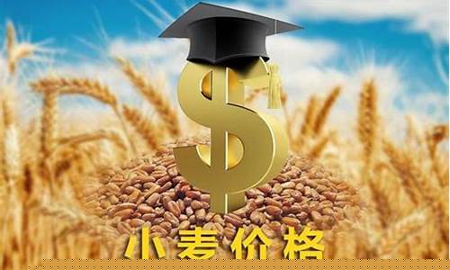 今日小麦期货价格行情大幅上涨(小麦期货价格行情今日大幅震荡)_https://www.nalian8.com_北交所_第1张