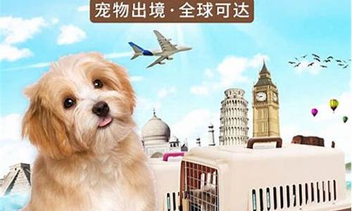 宠物托运顺丰(宠物托运顺丰电话)_https://www.nalian8.com_上交所_第1张