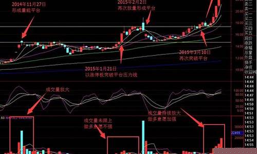 小白怎样学炒股视频(小白怎样学炒股视频教学)_https://www.nalian8.com_北交所_第1张