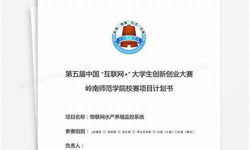 互联网大赛项目计划书范文(互联网大赛项目计划书范文红旅赛道)_https://www.nalian8.com_上交所_第1张