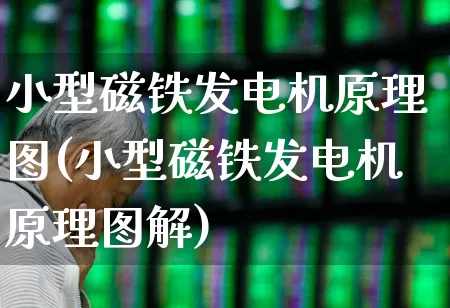 小型磁铁发电机原理图(小型磁铁发电机原理图解)_https://www.nalian8.com_深交所_第1张