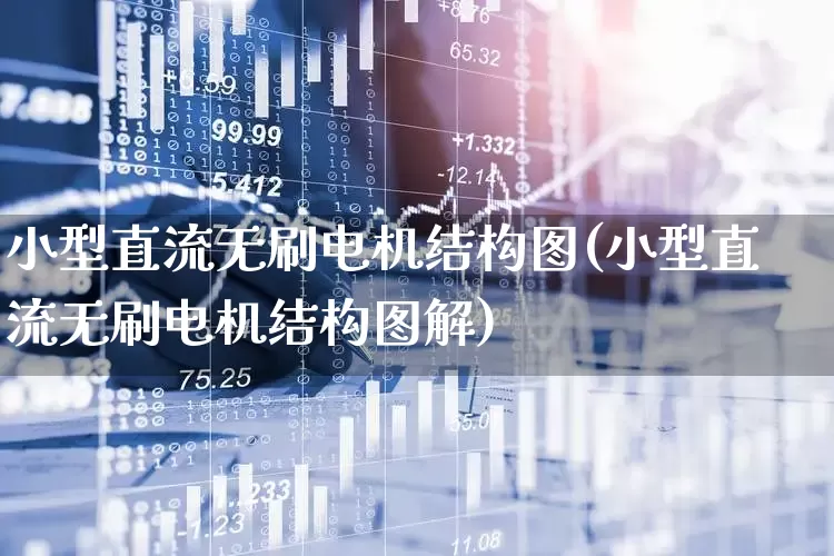 小型直流无刷电机结构图(小型直流无刷电机结构图解)_https://www.nalian8.com_北交所_第1张