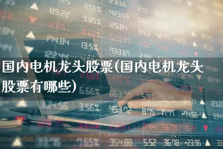国内电机龙头股票(国内电机龙头股票有哪些)_https://www.nalian8.com_上交所_第1张
