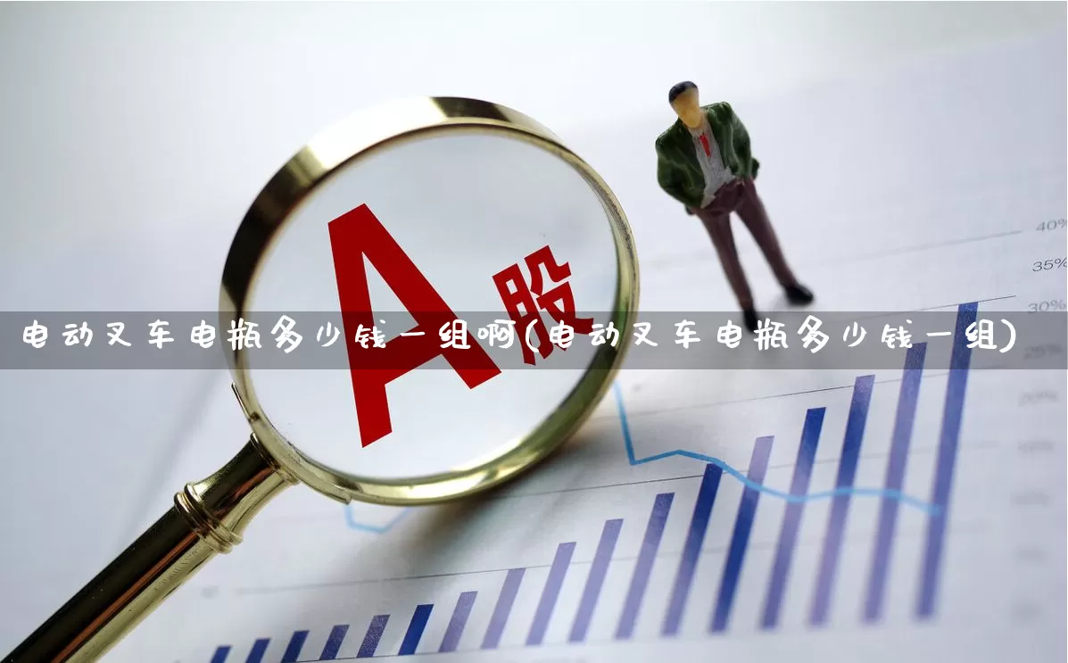 电动叉车电瓶多少钱一组啊(电动叉车电瓶多少钱一组)_https://www.nalian8.com_北交所_第1张