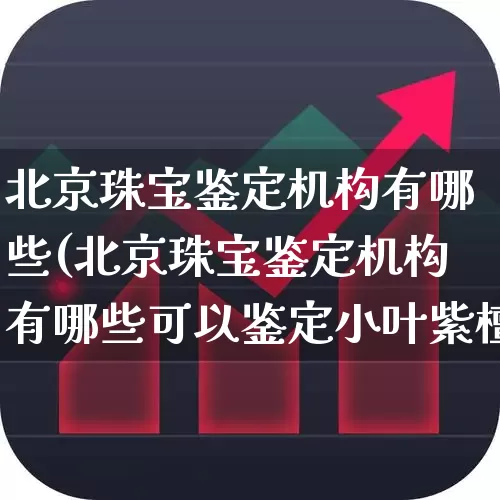 北京珠宝鉴定机构有哪些(北京珠宝鉴定机构有哪些可以鉴定小叶紫檀吗)_https://www.nalian8.com_科创板_第1张