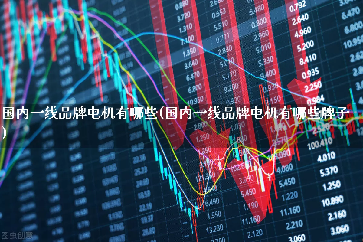 国内一线品牌电机有哪些(国内一线品牌电机有哪些牌子)_https://www.nalian8.com_北交所_第1张
