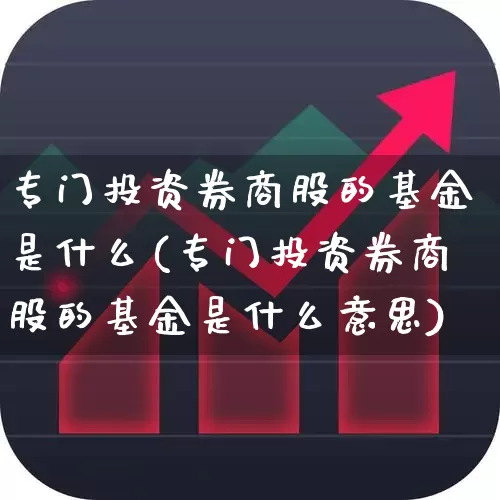 专门投资券商股的基金是什么(专门投资券商股的基金是什么意思)_https://www.nalian8.com_创业板_第1张