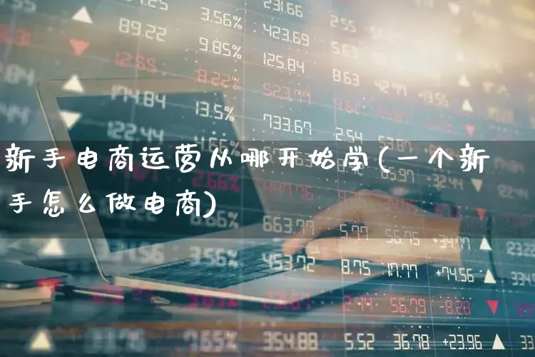 新手电商运营从哪开始学(一个新手怎么做电商)_https://www.nalian8.com_上交所_第1张