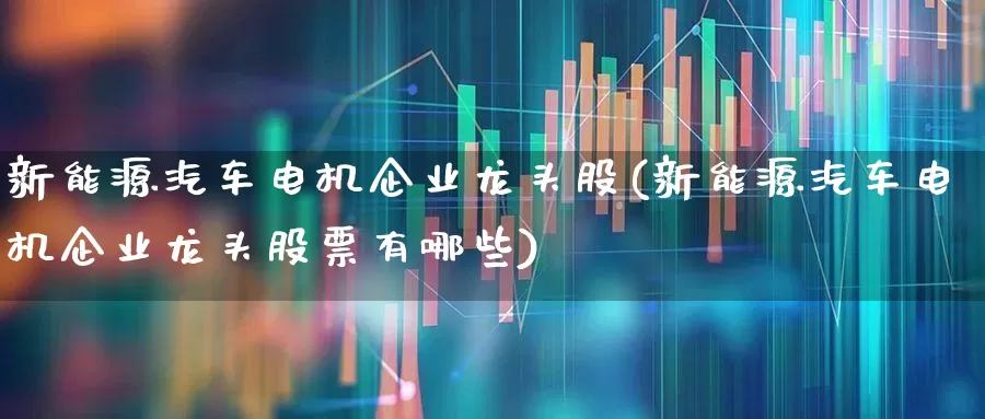 新能源汽车电机企业龙头股(新能源汽车电机企业龙头股票有哪些)_https://www.nalian8.com_创业板_第1张