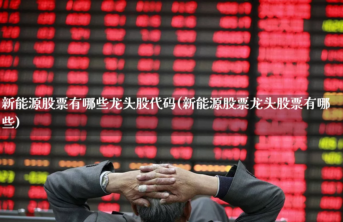 新能源股票有哪些龙头股代码(新能源股票龙头股票有哪些)_https://www.nalian8.com_北交所_第1张