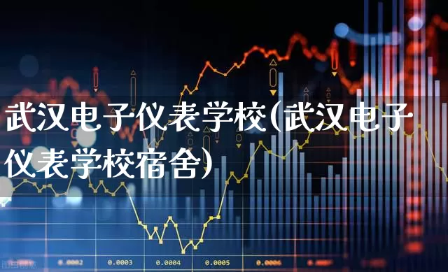 武汉电子仪表学校(武汉电子仪表学校宿舍)_https://www.nalian8.com_北交所_第1张