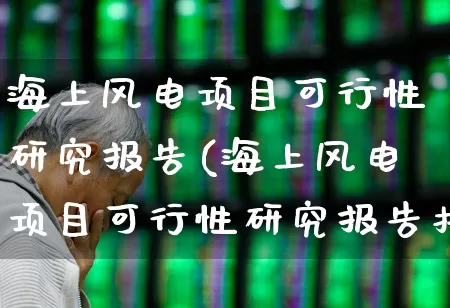 海上风电项目可行性研究报告(海上风电项目可行性研究报告投资回报率)_https://www.nalian8.com_上交所_第1张