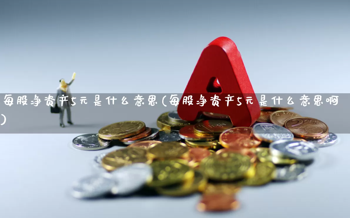 每股净资产5元是什么意思(每股净资产5元是什么意思啊)_https://www.nalian8.com_创业板_第1张