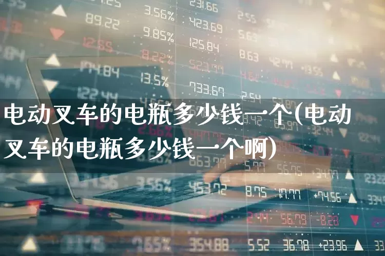 电动叉车的电瓶多少钱一个(电动叉车的电瓶多少钱一个啊)_https://www.nalian8.com_深交所_第1张