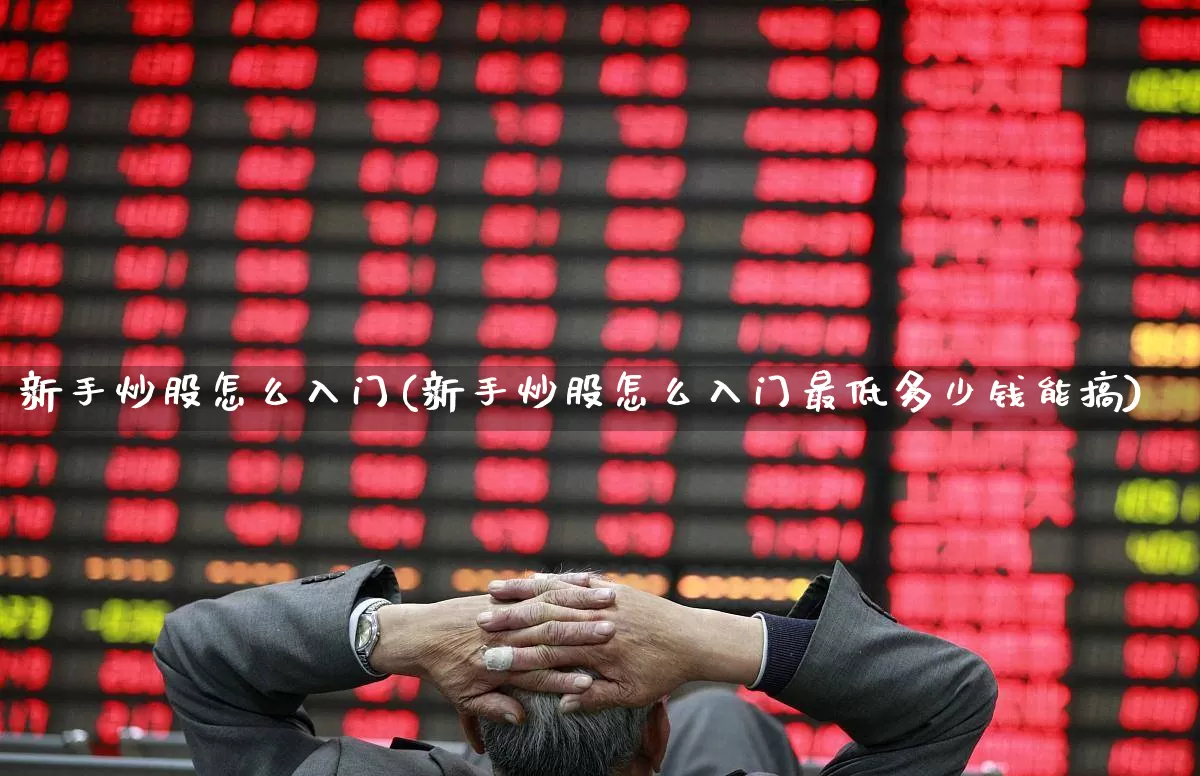 新手炒股怎么入门(新手炒股怎么入门最低多少钱能搞)_https://www.nalian8.com_科创板_第1张