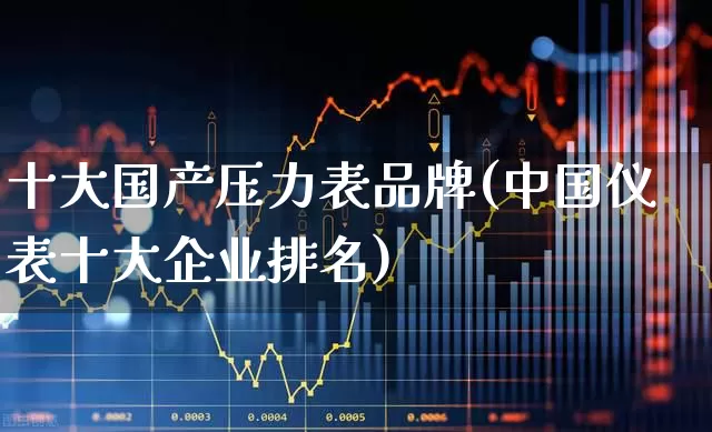 十大国产压力表品牌(中国仪表十大企业排名)_https://www.nalian8.com_创业板_第1张
