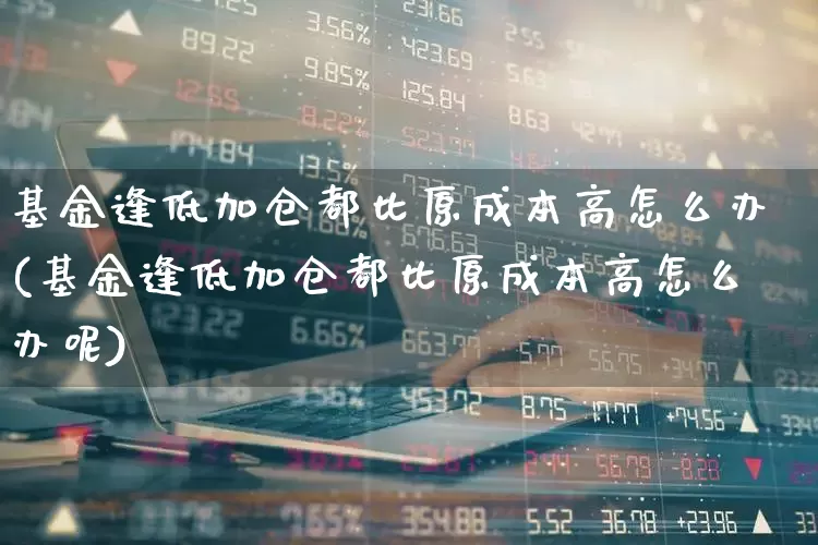 基金逢低加仓都比原成本高怎么办(基金逢低加仓都比原成本高怎么办呢)_https://www.nalian8.com_科创板_第1张