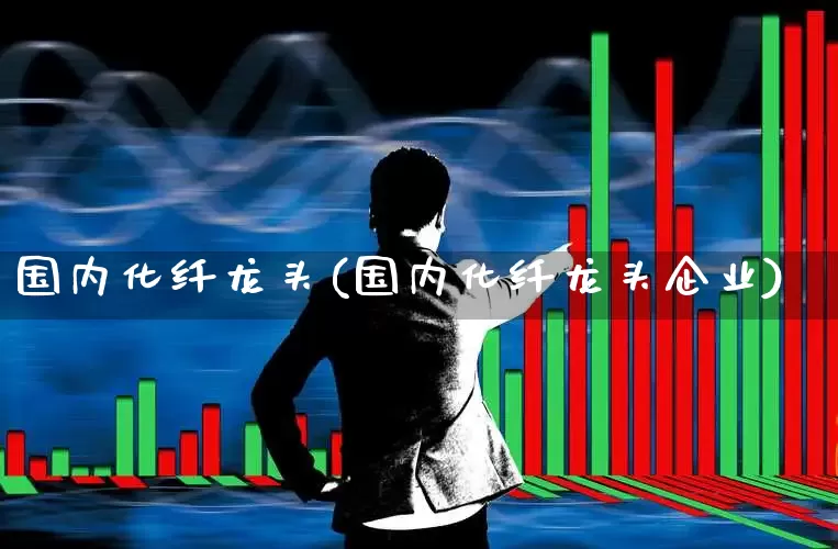 国内化纤龙头(国内化纤龙头企业)_https://www.nalian8.com_创业板_第1张