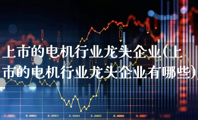 上市的电机行业龙头企业(上市的电机行业龙头企业有哪些)_https://www.nalian8.com_北交所_第1张