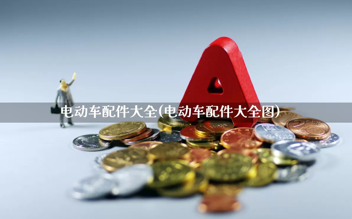 电动车配件大全(电动车配件大全图)_https://www.nalian8.com_上交所_第1张