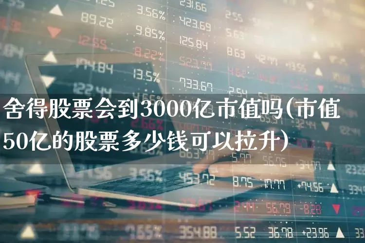 舍得股票会到3000亿市值吗(市值50亿的股票多少钱可以拉升)_https://www.nalian8.com_创业板_第1张