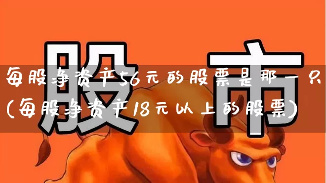 每股净资产56元的股票是那一只(每股净资产18元以上的股票)_https://www.nalian8.com_上交所_第1张