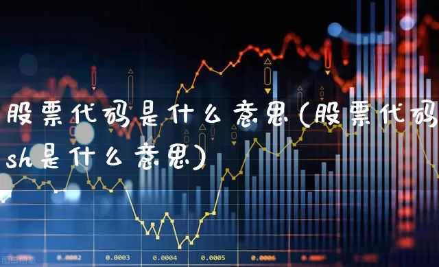 股票代码是什么意思(股票代码sh是什么意思)_https://www.nalian8.com_科创板_第1张