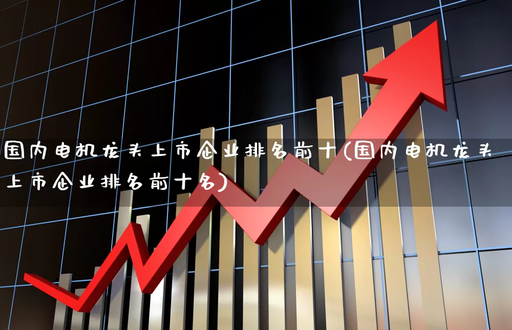 国内电机龙头上市企业排名前十(国内电机龙头上市企业排名前十名)_https://www.nalian8.com_科创板_第1张