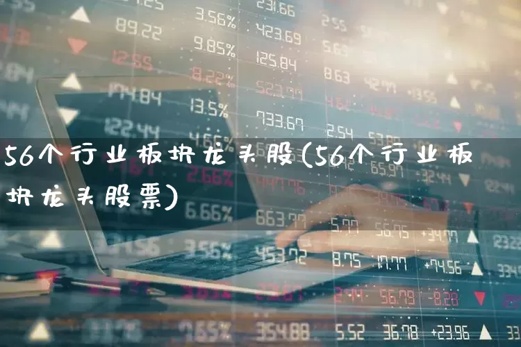 56个行业板块龙头股(56个行业板块龙头股票)_https://www.nalian8.com_科创板_第1张