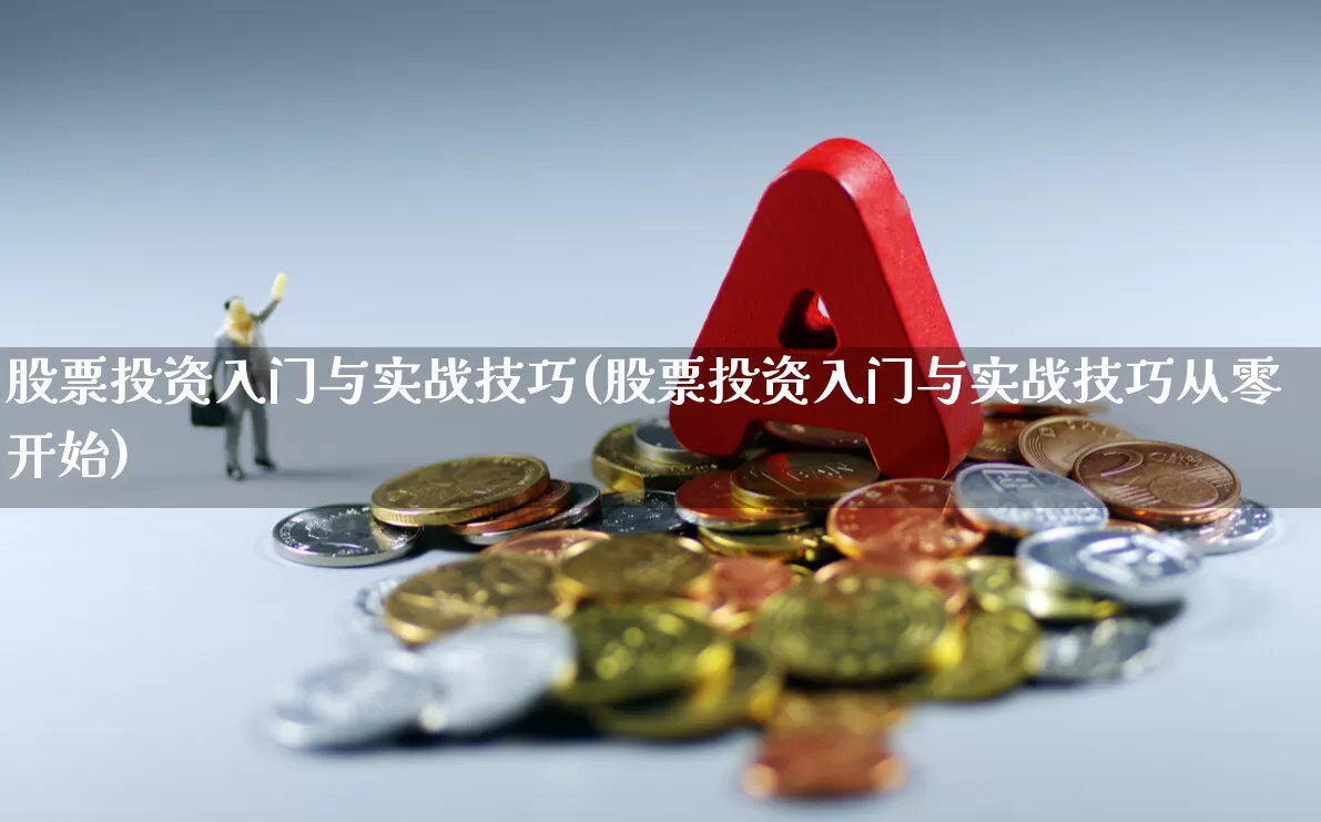 股票投资入门与实战技巧(股票投资入门与实战技巧从零开始)_https://www.nalian8.com_北交所_第1张