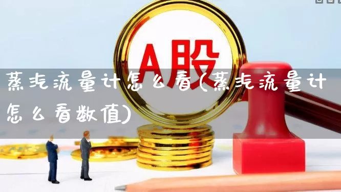 蒸汽流量计怎么看(蒸汽流量计怎么看数值)_https://www.nalian8.com_北交所_第1张