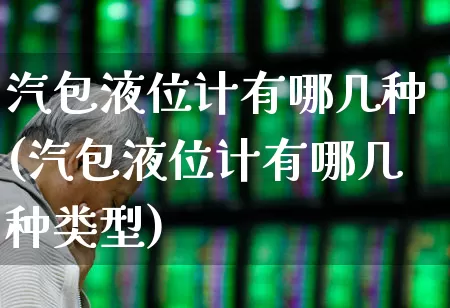 汽包液位计有哪几种(汽包液位计有哪几种类型)_https://www.nalian8.com_北交所_第1张