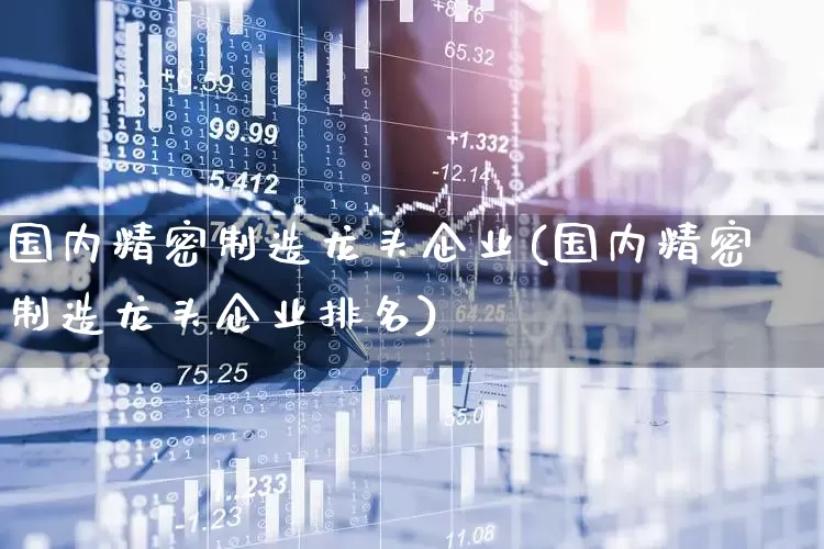 国内精密制造龙头企业(国内精密制造龙头企业排名)_https://www.nalian8.com_北交所_第1张
