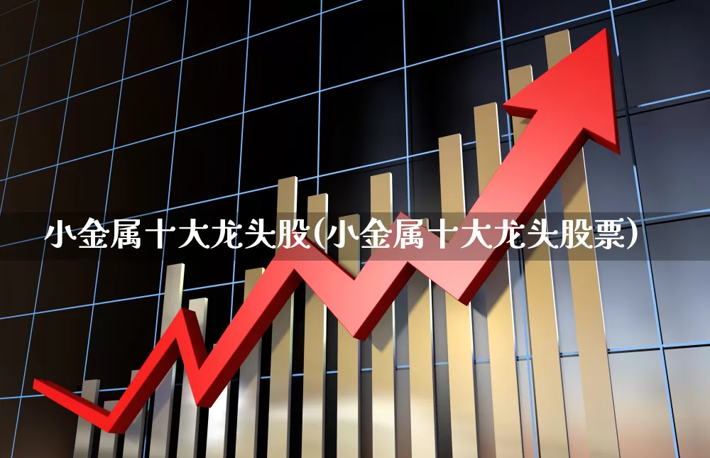 小金属十大龙头股(小金属十大龙头股票)_https://www.nalian8.com_创业板_第1张