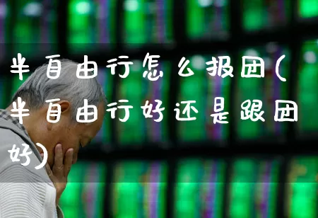 半自由行怎么报团(半自由行好还是跟团好)_https://www.nalian8.com_科创板_第1张