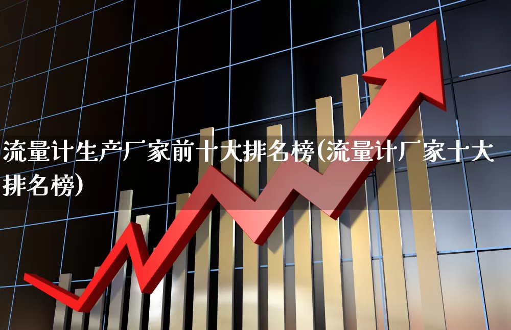 流量计生产厂家前十大排名榜(流量计厂家十大排名榜)_https://www.nalian8.com_北交所_第1张