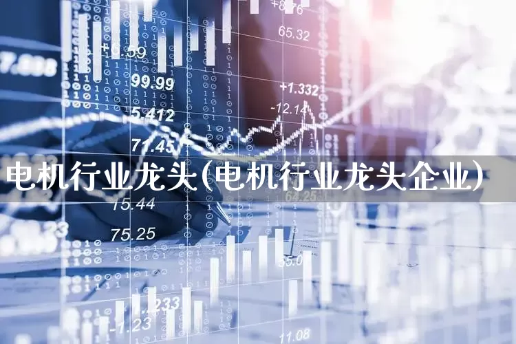电机行业龙头(电机行业龙头企业)_https://www.nalian8.com_科创板_第1张
