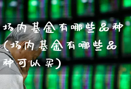 场内基金有哪些品种(场内基金有哪些品种可以买)_https://www.nalian8.com_创业板_第1张