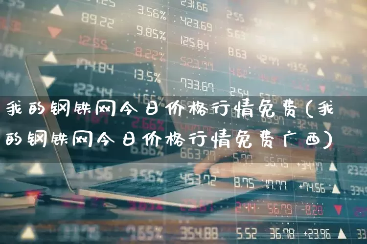 我的钢铁网今日价格行情免费(我的钢铁网今日价格行情免费广西)_https://www.nalian8.com_北交所_第1张