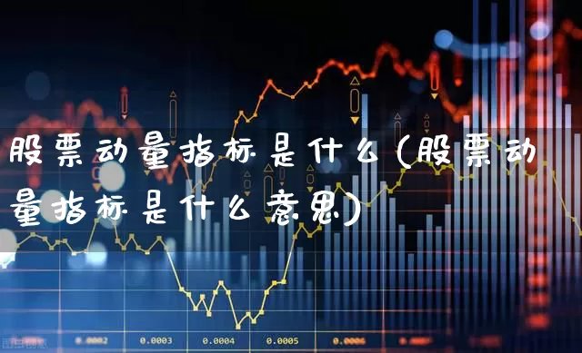 股票动量指标是什么(股票动量指标是什么意思)_https://www.nalian8.com_深交所_第1张