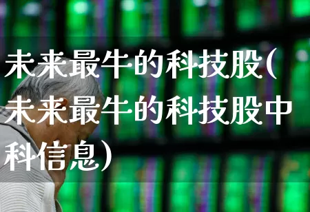 未来最牛的科技股(未来最牛的科技股中科信息)_https://www.nalian8.com_北交所_第1张