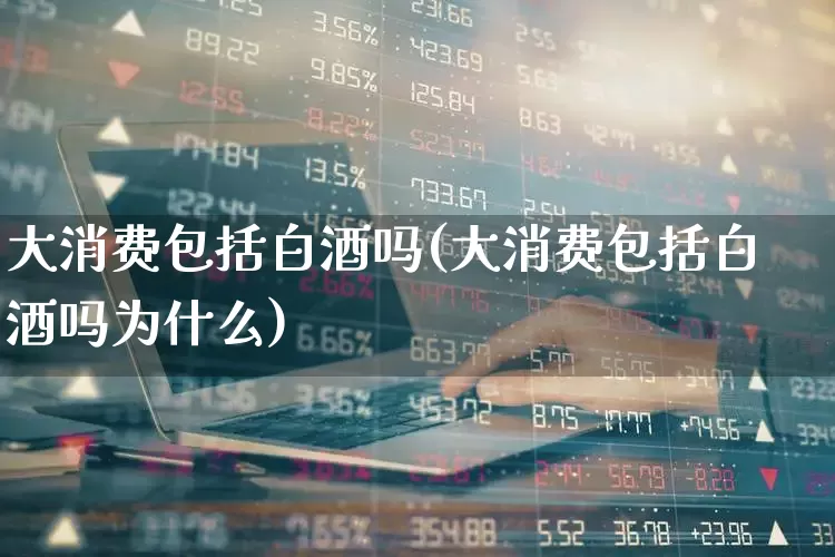 大消费包括白酒吗(大消费包括白酒吗为什么)_https://www.nalian8.com_上交所_第1张