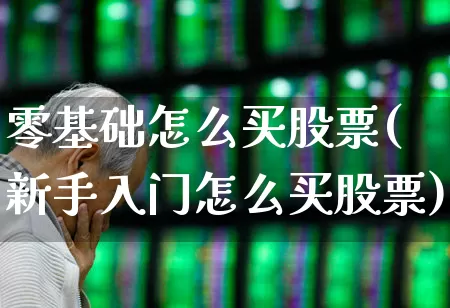 零基础怎么买股票(新手入门怎么买股票)_https://www.nalian8.com_北交所_第1张