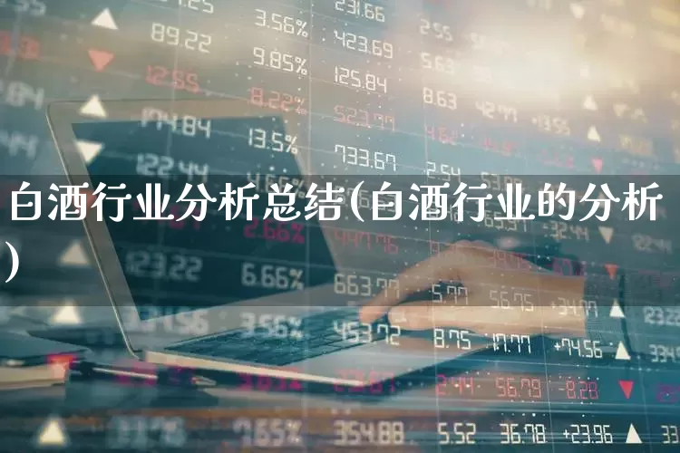 白酒行业分析总结(白酒行业的分析)_https://www.nalian8.com_创业板_第1张