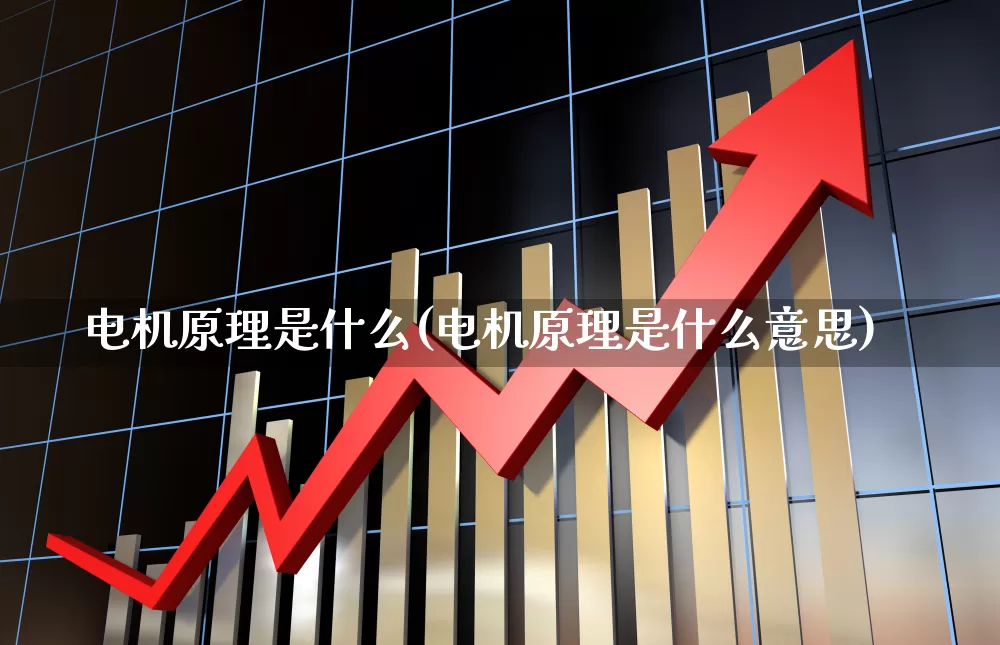 电机原理是什么(电机原理是什么意思)_https://www.nalian8.com_深交所_第1张