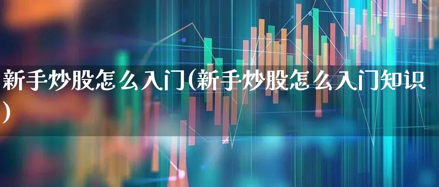 新手炒股怎么入门(新手炒股怎么入门知识)_https://www.nalian8.com_创业板_第1张