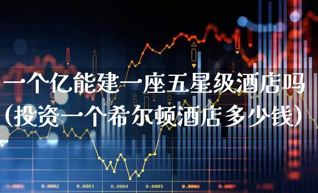 一个亿能建一座五星级酒店吗(投资一个希尔顿酒店多少钱)_https://www.nalian8.com_深交所_第1张